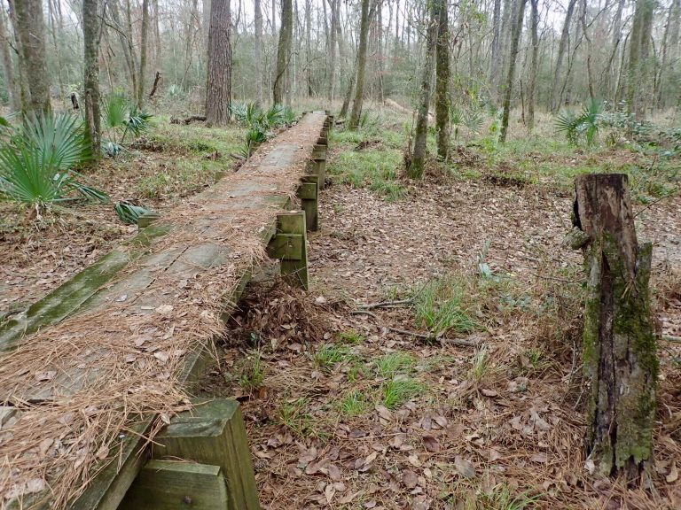 Lone Star Hiking Trail