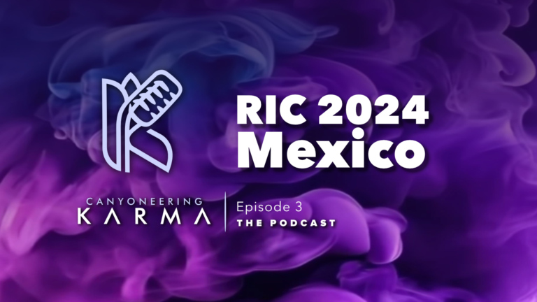 RIC Mexico 2024