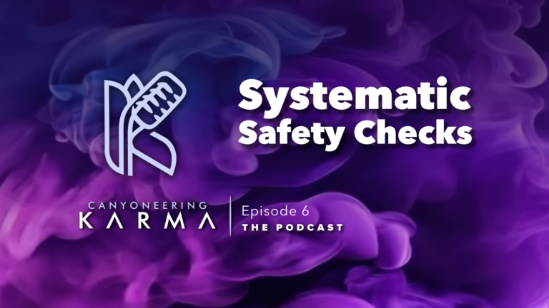 Systematic Safety Checks